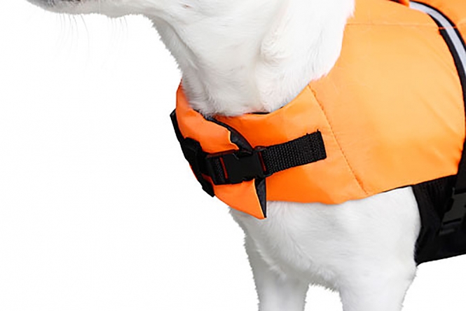 Kerbl Hunde-Schwimmweste – Bild 4