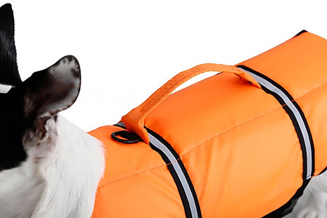 Kerbl Hunde-Schwimmweste – Bild 5