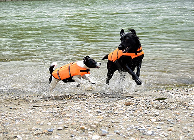 Kerbl Hunde-Schwimmweste – Bild 6