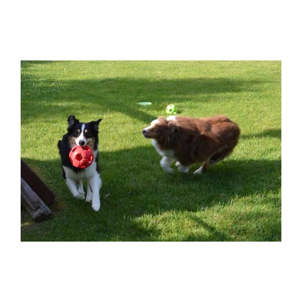 PETSPORT Turbo Kick Soccer Ball - 10 cm – Bild 3