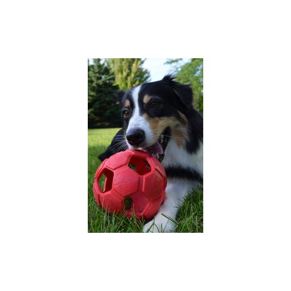PETSPORT Turbo Kick Soccer Ball - 15 cm – Bild 4