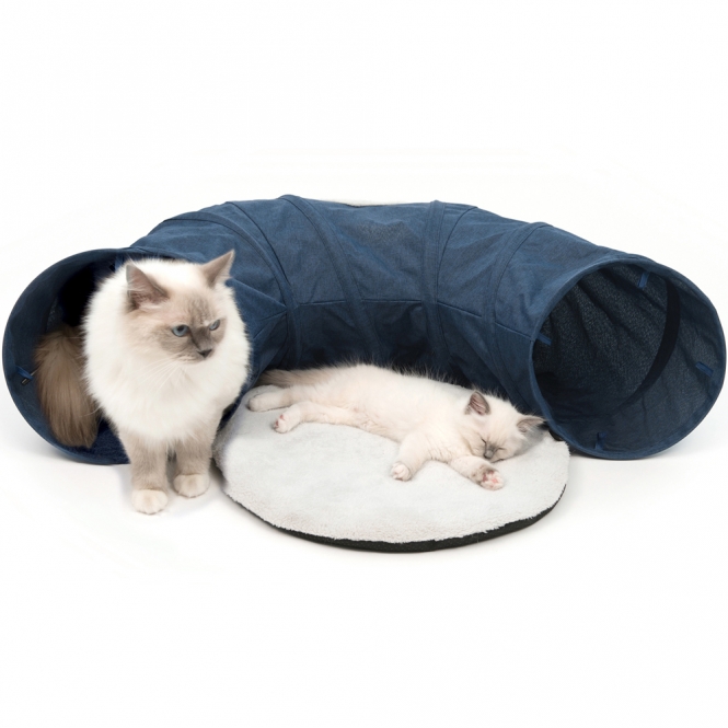 Vesper Katzen-Tunnel – Bild 6