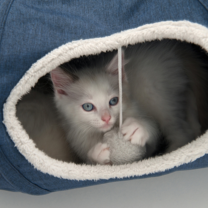 Vesper Katzen-Tunnel – Bild 9