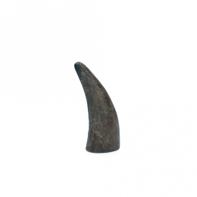 Viking whole Horn solid – Bild 3