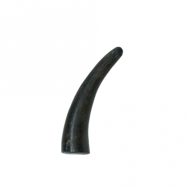 Viking whole Horn solid – Bild 4