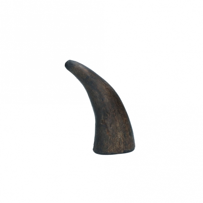 Viking whole Horn solid – Bild 6