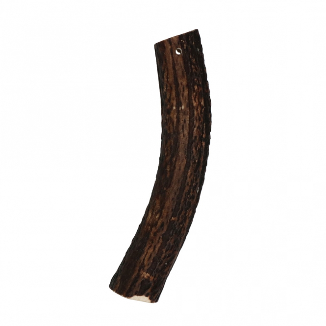 Viking Antler Easy Rothirschgeweih – Bild 2