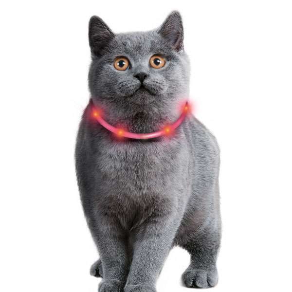 Karlie Visio Light Cat LED-Schlauch mit USB - Orange – Bild 3