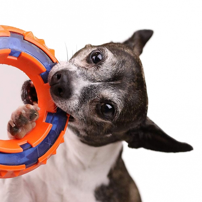 NERF DOG Mega Tuff TPR Spike Ring – Bild 3