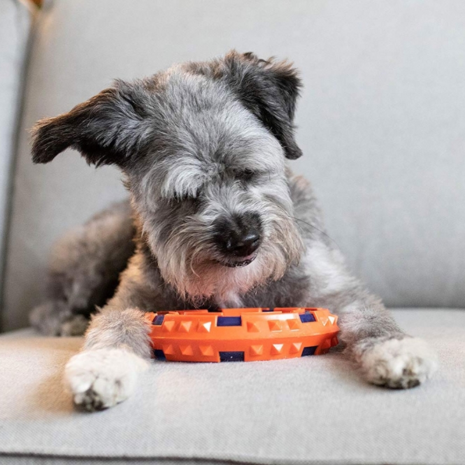 NERF DOG Mega Tuff TPR Spike Ring – Bild 4