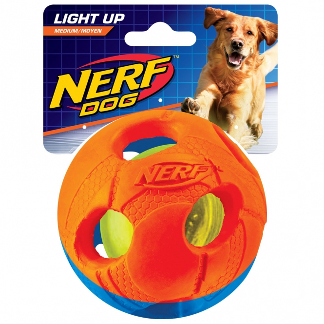 NERF Dog Iluma-Action LED-Ball – Bild 3