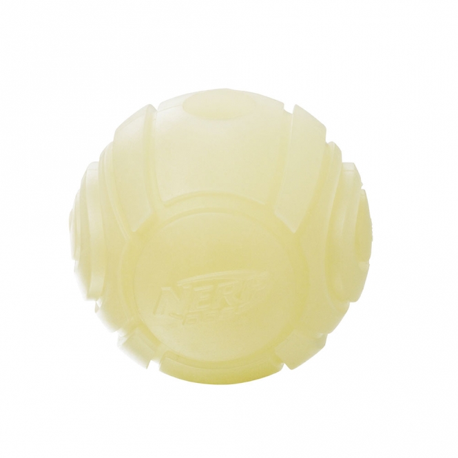 NERF Dog Blaster LED Glow Sonic Ball