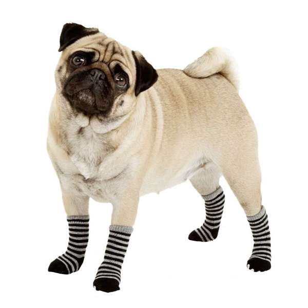 Karlie Doggy Socks Hundesocken 4er Set – S...