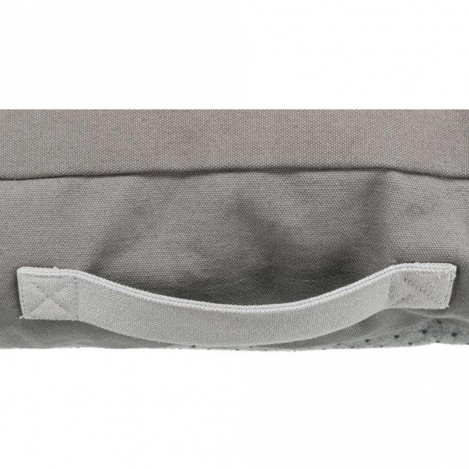 38120-trxi-var-1_c60z-tl-1