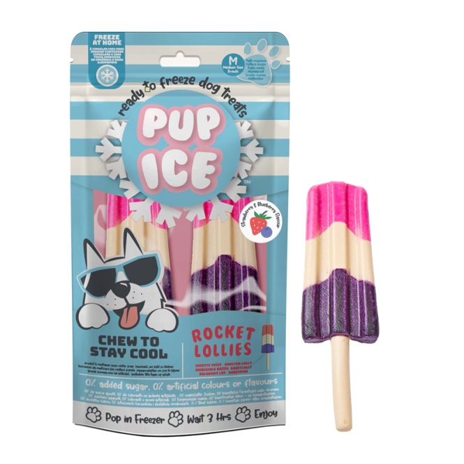 Pup Ice Rocket Lollies Strawberry & Blueberr...