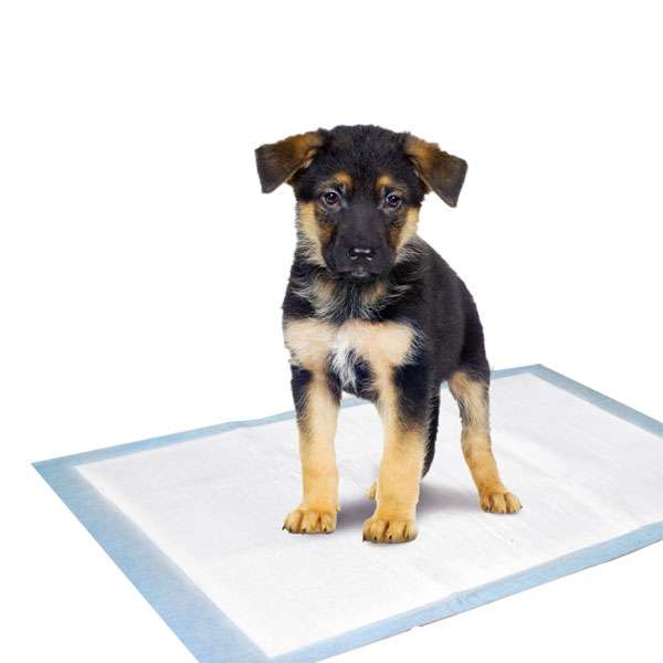 Karlie Flamingo Puppy Pads Trainingsmatten ̵...
