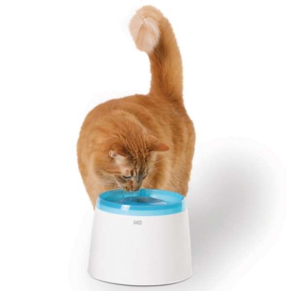 CATIT Fresh+Clear Trinkbrunnen 2L – Blau