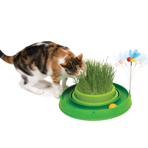 CATIT Play-n-Scratch mit Grasgarten – Grü...