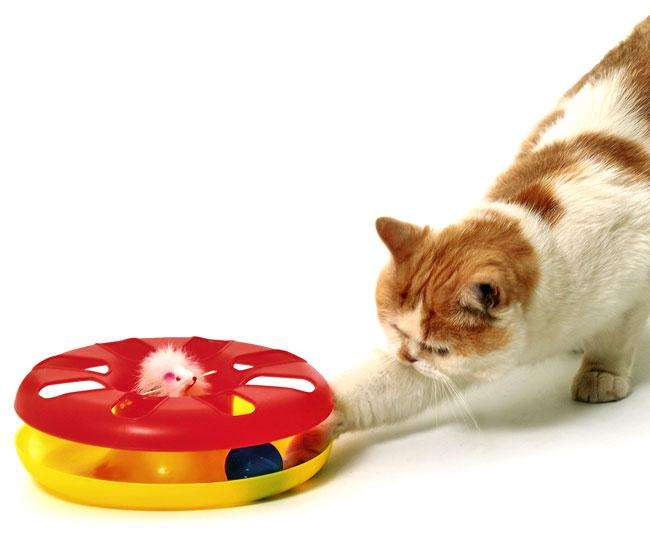Karlie Kitty ROUND ABOUT Spielzeug – 24 cm