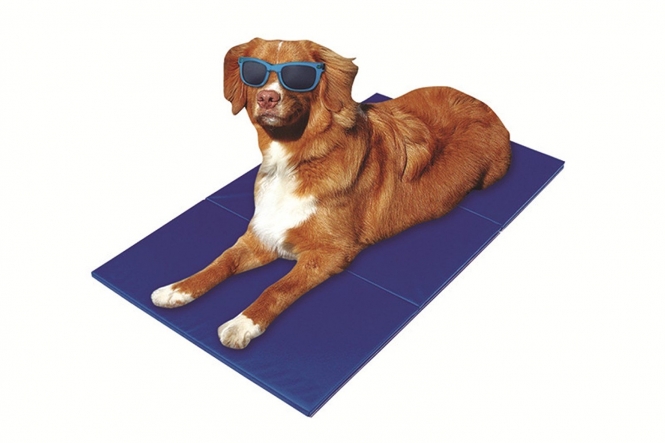 Pet-Star Kühlmatte – 110 x 70 cm