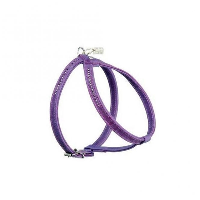 Karlie Buffalo Strass Geschirr – Violett &...